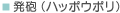 発砲（ハッポウポリ）