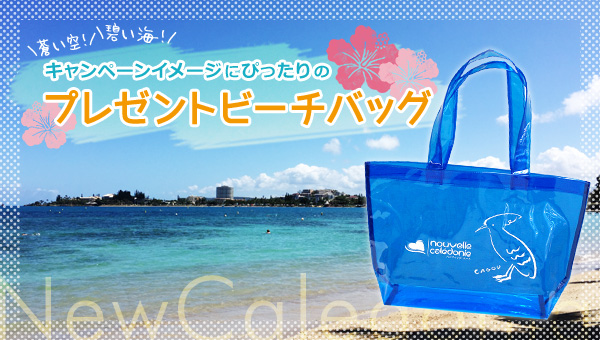 蒼い空！碧い海！キャンペーンイメージにぴったりのプレゼントビーチバッグ