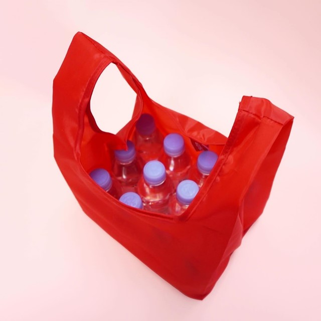 折りたたみエコバッグに150mlボトルを9本入れた様子